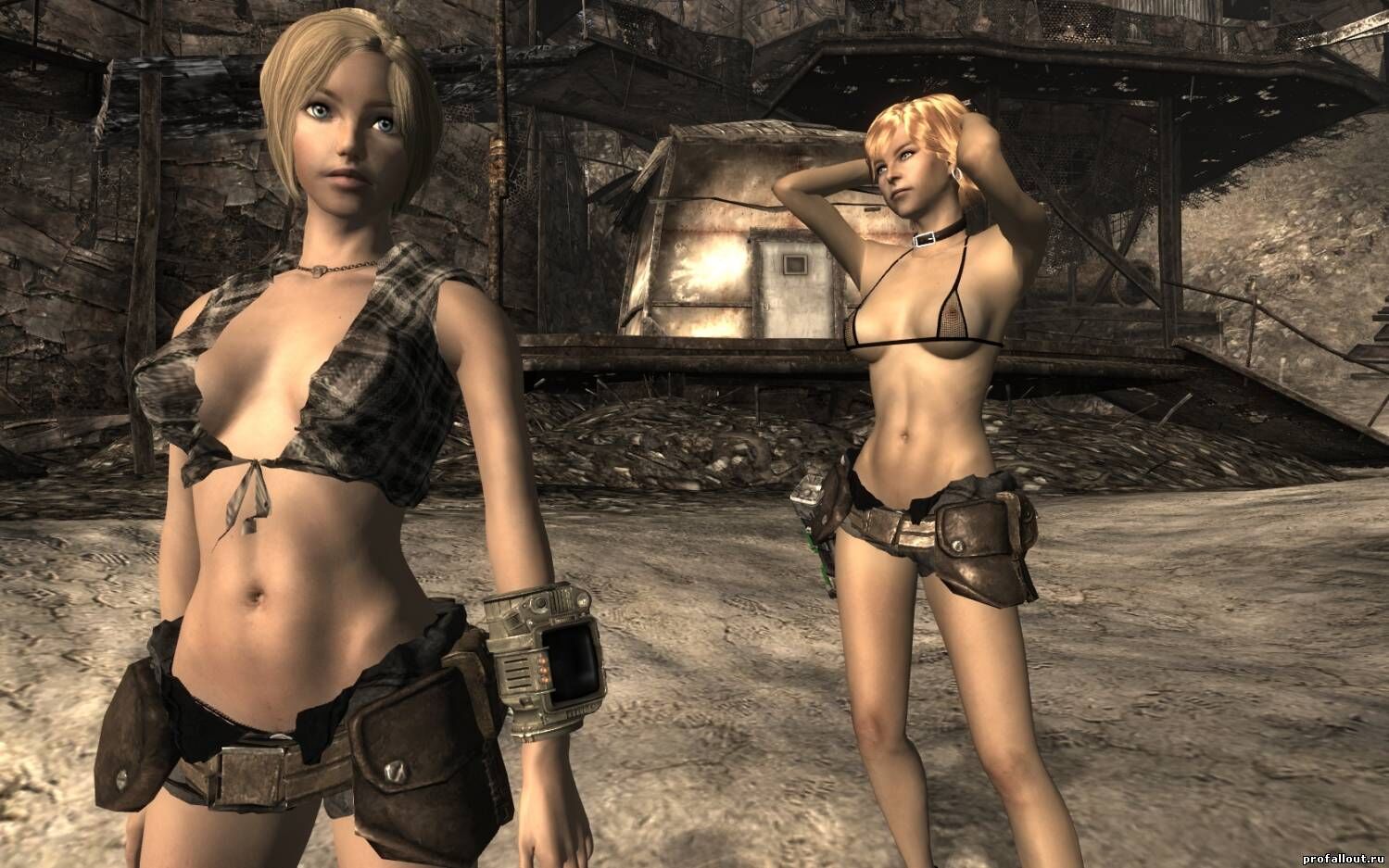 [3.58 GB] Assembling Fallout NV Sexout "Hardcore: New Generation" 18 [01.03.2015] (Q2WERTY) [UNCEN] [2015、3D、アニメーション、オールセックス、BDSM、グループ、POV、コンストラクター] [RUS]