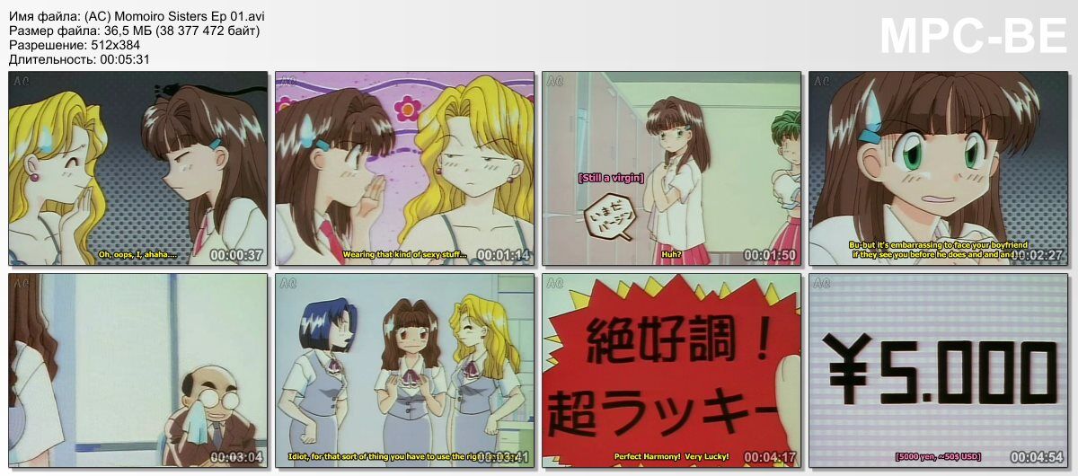 [987.1 MB] Momoiro Sisters / Peach Sisters (Bob Shirahata, Studio Deen) (EP. 1-24 of 24) [ECCHI] [1998, Comedy, Daily Life, TVRip] [JAP / RUS / ENG]