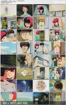 [1,18 GB] Tanin No Kankei / Asuntos de salón / Relaciones humanas (SEKITA OSAMU, JCSTAFF) (EP. 1-2 DE 2) [ECCHI] [1994, Romance, Escuela, Comedia, DVDRip] [JAP / RUS / ENG / ukr 